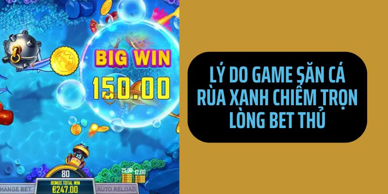 Tại sao game săn cá rùa xanh thu hút sự quan tâm của bet thủ?