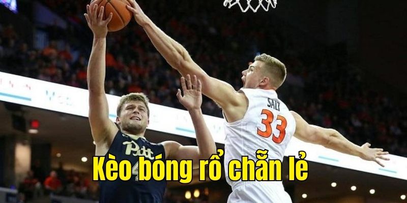 Kèo chẵn lẻ phổ biến trong bóng rổ 