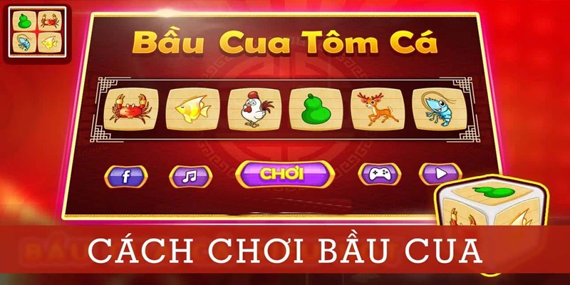 Lưu ý khi tận dụng xác mẹo hay, kinh nghiệm đầu tư hiệu quả nhất